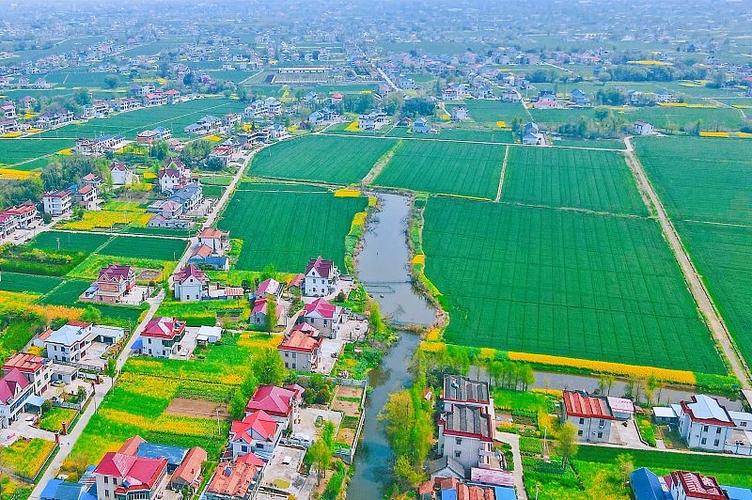 近年来,江苏省如皋市大力推进宜居宜业和美乡村建设,持续开展农村基础