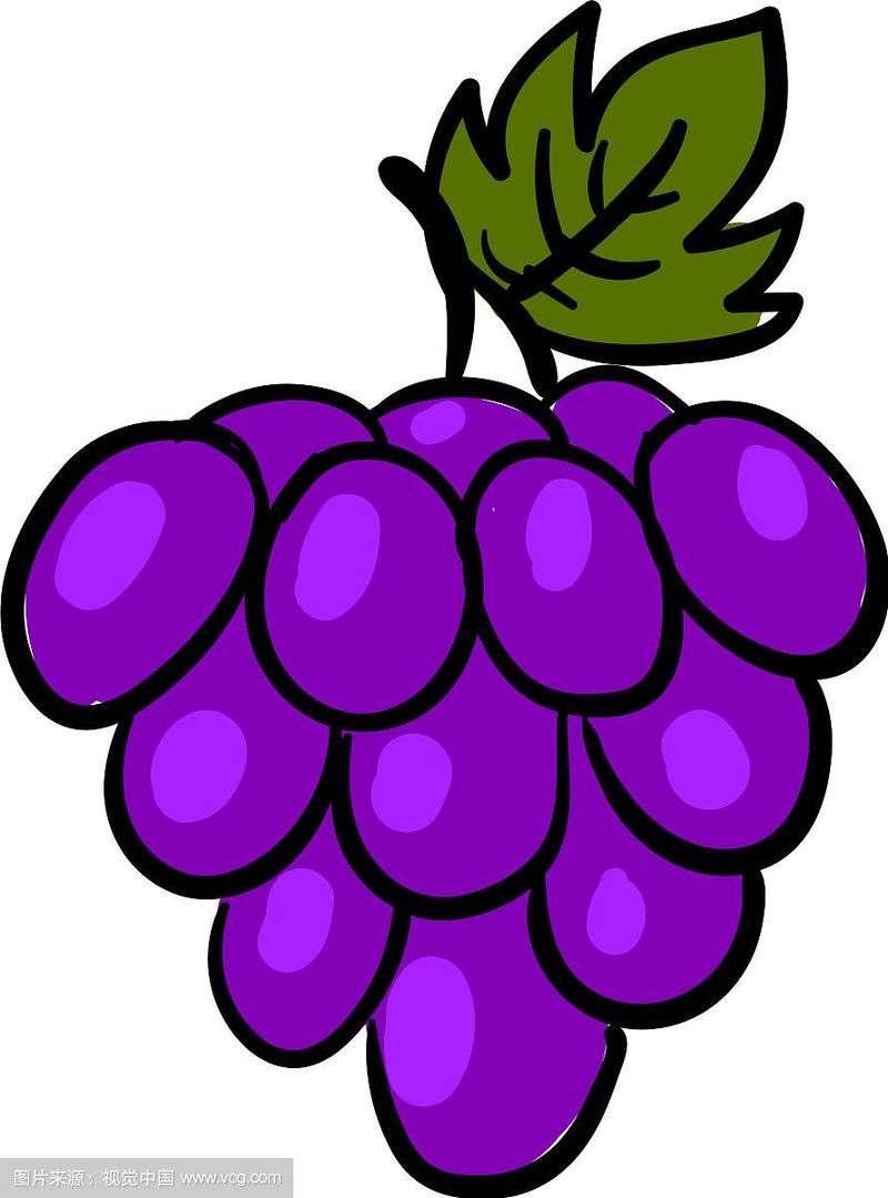 画一串紫色的葡萄或颜色