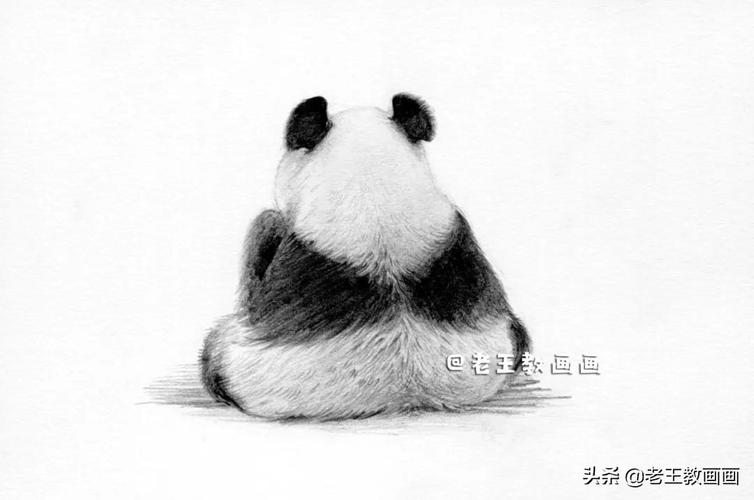 手绘国宝大熊猫,孩子一定喜欢画