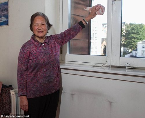 7旬中国老太太在英国擦玻璃引热议