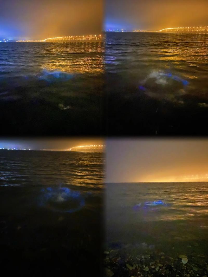 7月4日凌晨1点的黑石礁东侧海边的荧光海.#大连荧光海  7 - 抖音