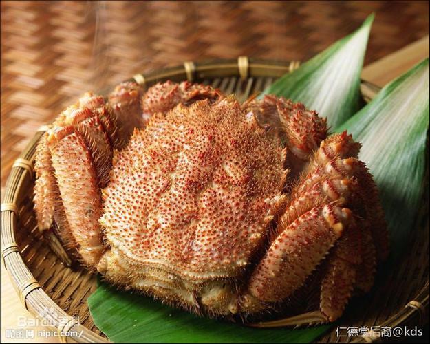 日本函馆毛蟹 其实它壳上的刺是软的毛 就是看上去有点吓人