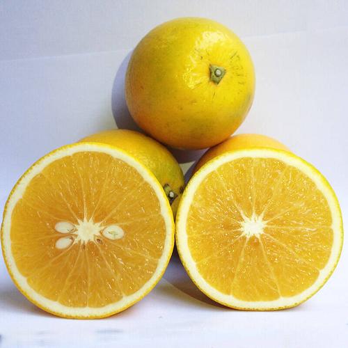 世果汇水果 台湾进口柳丁橙 柳橙 5斤装 单果约200-300g
