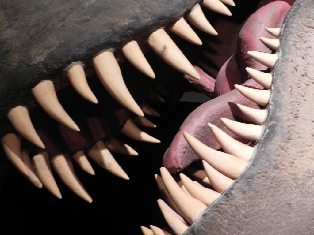 牙齿.,霸王龙的牙齿.