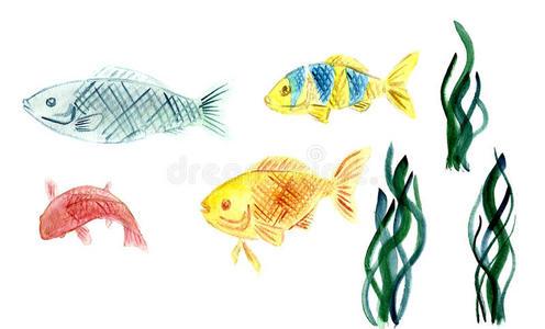 海草和鱼怎么挑图片-海草和鱼怎么挑素材-海草和鱼怎么挑插画-摄图新