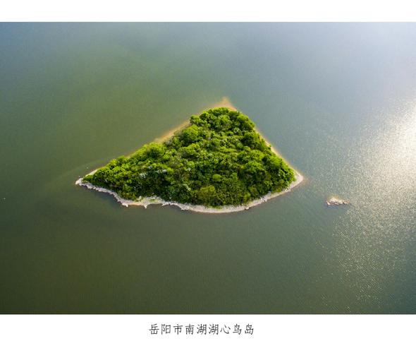 南湖湖心有一小岛,面积不到1000平方米,四面环水,绿树成荫,其丰富的