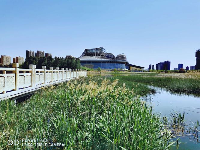 城市与湿地———拍摄地点:保定市东湖公园 - 美篇