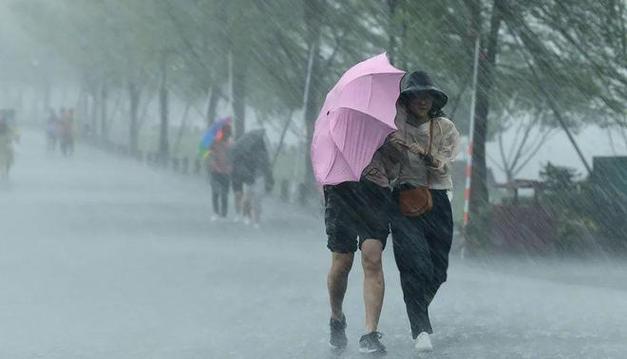 积水|强降雨|雨刮器|邹城市|暴雨天气_网易订阅