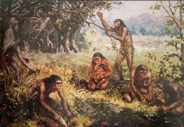 原始人生存笔记:打猎捕鱼,钻木取火,拒绝族内杂交
