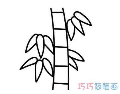 竹子漂亮简单画法