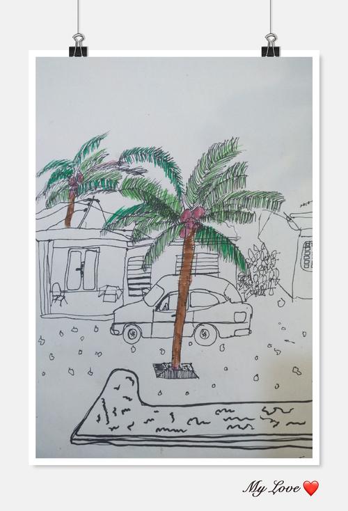 《椰子树和房屋》杭佳画的构图很稳,椰子树造型准确,前后的遮挡关系