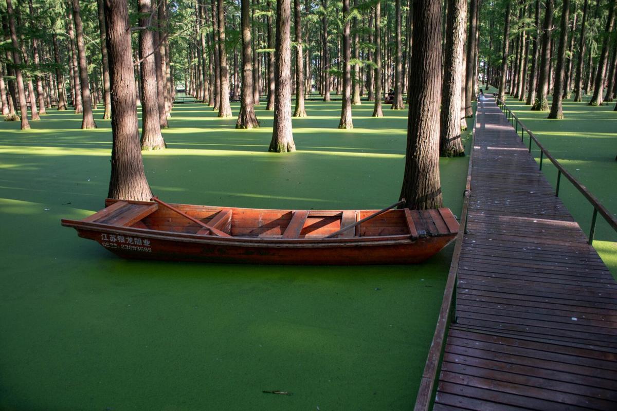 水上森林|渌洋湖公园 交通 渌洋湖公园位于扬州市江都区和高邮市的