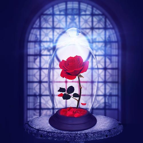 小王子·玻璃罩玫瑰·banner