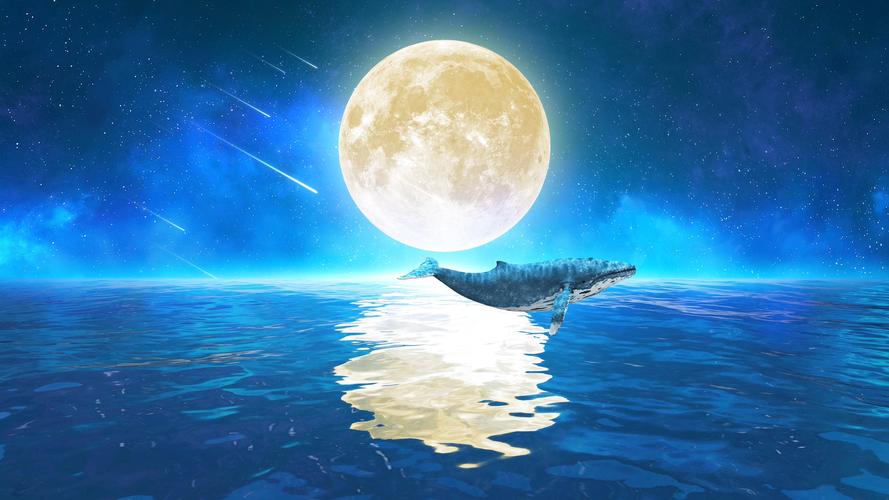 唯美月亮鲸鱼4k-无缝循环