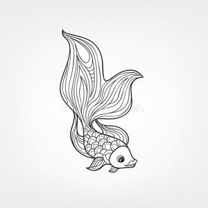 孤立的鱼. 手绘涂鸦线装饰海洋生物背景照片
