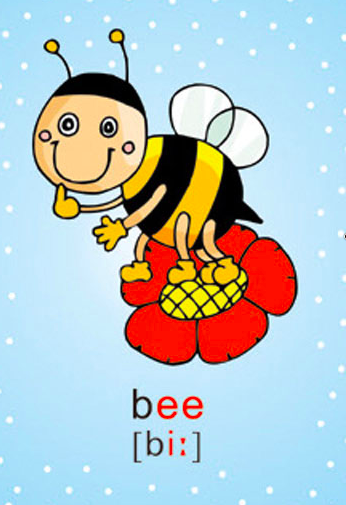 元音〔i:〕和bee