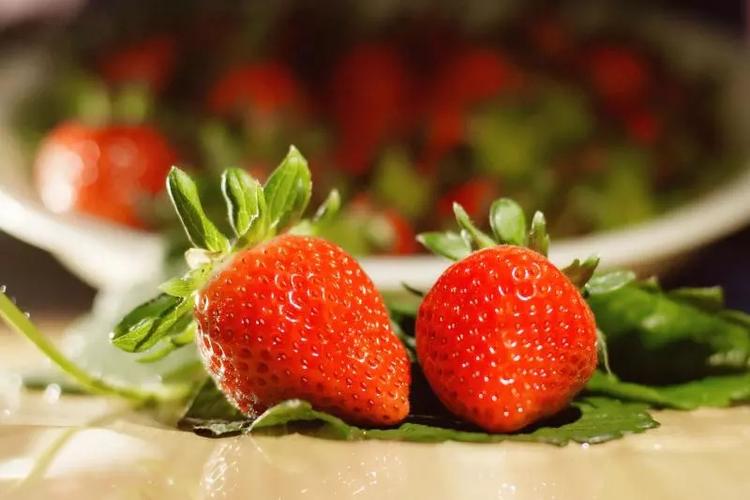 七彩草莓有什么神奇之处,竟然一路从日本走到中国?