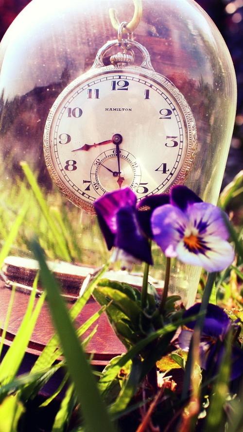 时钟,玻璃,紫罗兰