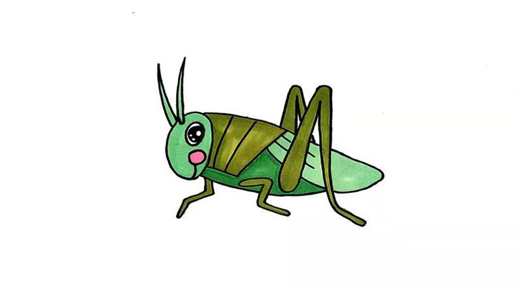 蝗虫如何画 - 简笔画 - 懂得