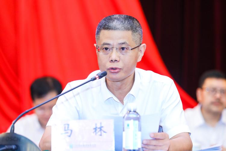 华西集团党委副书记,副董事长,总经理马林致辞