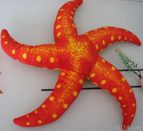 海星动物玩具抱枕仿真仿生海洋毛绒玩具馈赠礼品