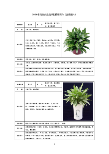 50种常见室内绿化植物介绍(带高清图片)汇总.doc