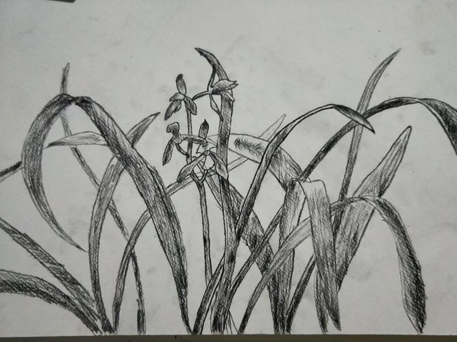 下午班小学段绘画主题《草丛中》