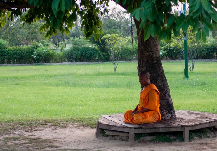 远远地看见一僧人在菩提树下打坐