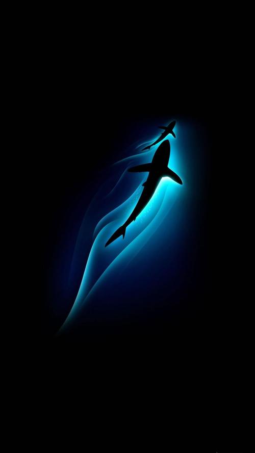 鲨鱼海洋深度光