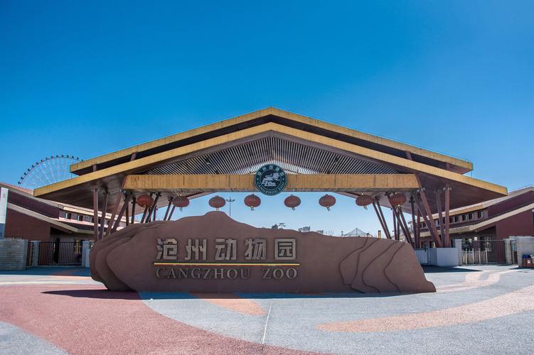 游乐园位于沧州动物园内北部,共建有飞舟冲浪,摩天轮,巨龙过山车等30