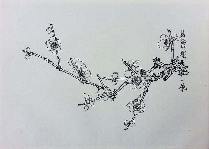中国花鸟画-工笔白描