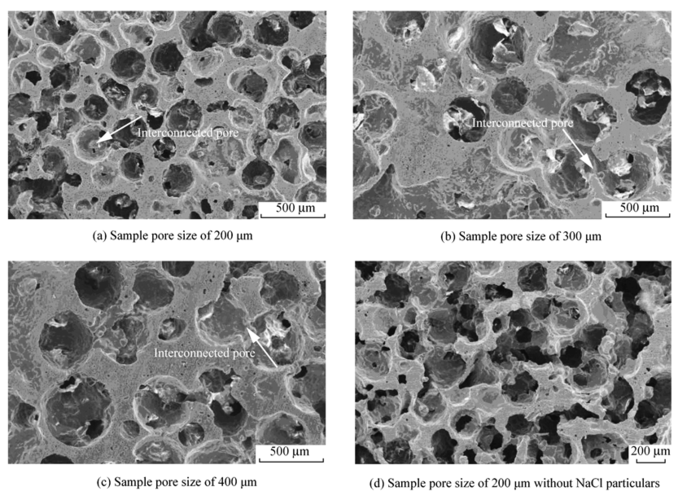 球形多孔羟基磷灰石支架的孔结构特征与力学性能