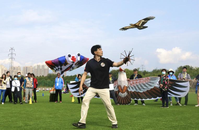 第八届北京国际风筝节在丰台举行