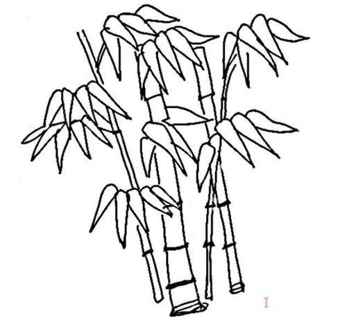 竹子的画法简笔画竹子的画法简笔画步骤