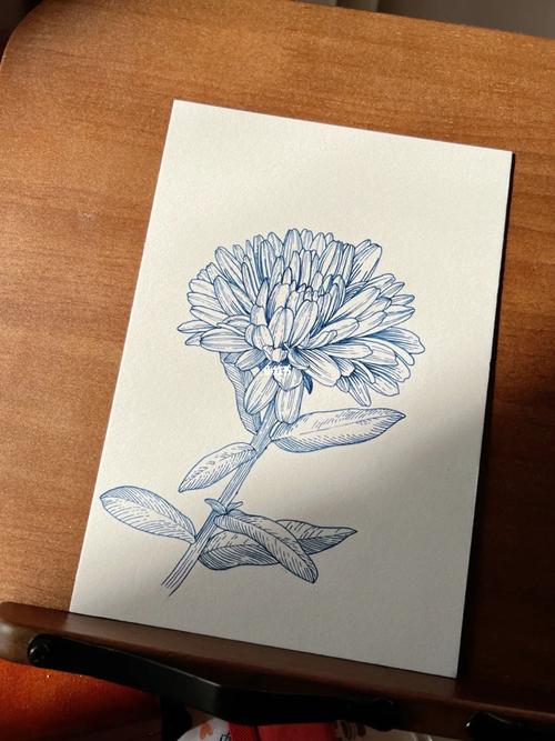 钢笔画一朵小花