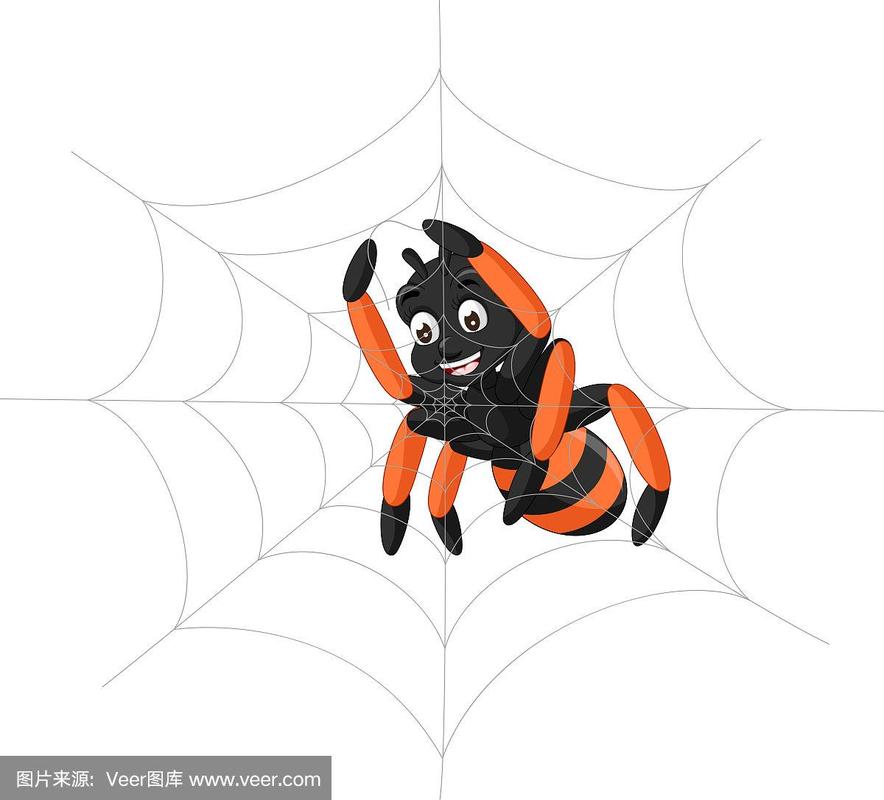 可爱的,橙色,蜘蛛,蜘蛛网,卡通