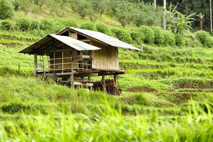 稻田和清迈泰国的房子