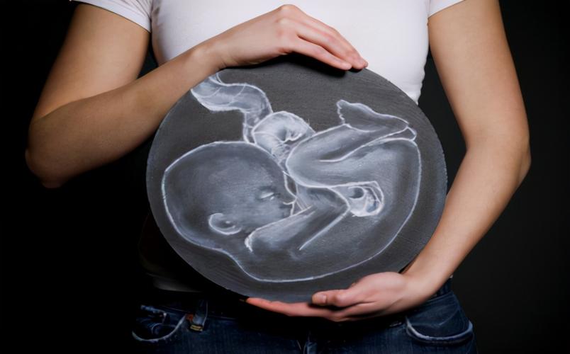24周胎儿在子宫里图片(胎宝在妈妈子宫内的成长真神奇) - 赤虎壹号