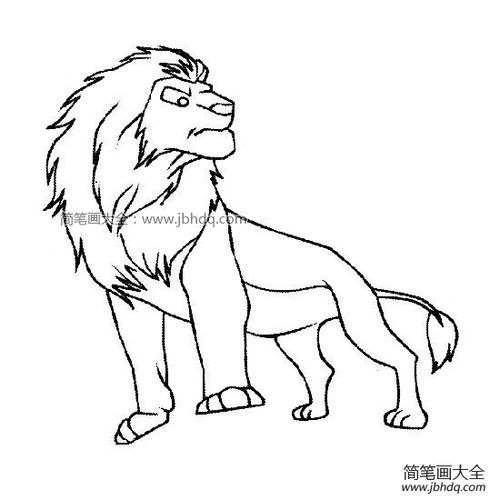 威武的狮子简笔画图片
