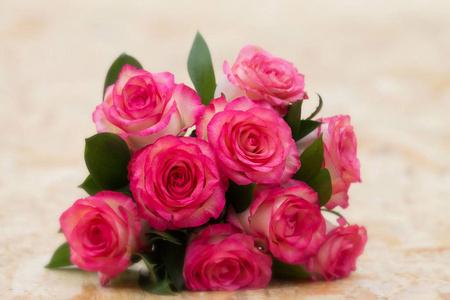九朵一束九朵粉红色玫瑰花在奶油色背景上摄影图