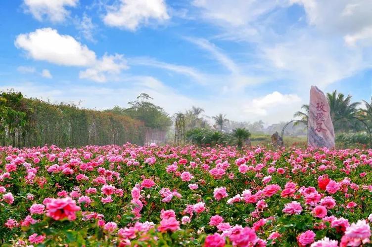 亚龙湾国际玫瑰谷位于亚龙湾度假区内,是以"玫瑰之约 浪漫三亚"为主题