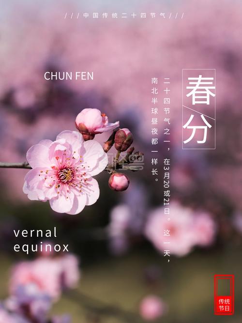 春分中国传统24节气海报粉色早安春天