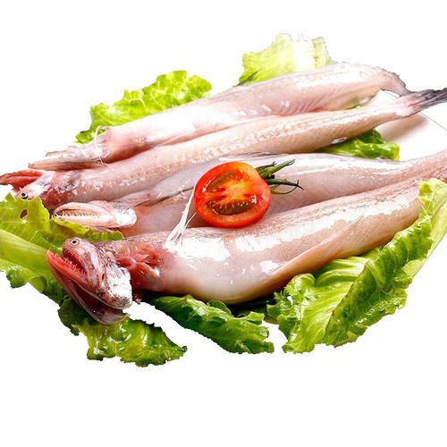 九肚鱼 新鲜龙头鱼 鲜活豆腐鱼 水龙鱼 水潺鱼 顺丰2.5kg 参数