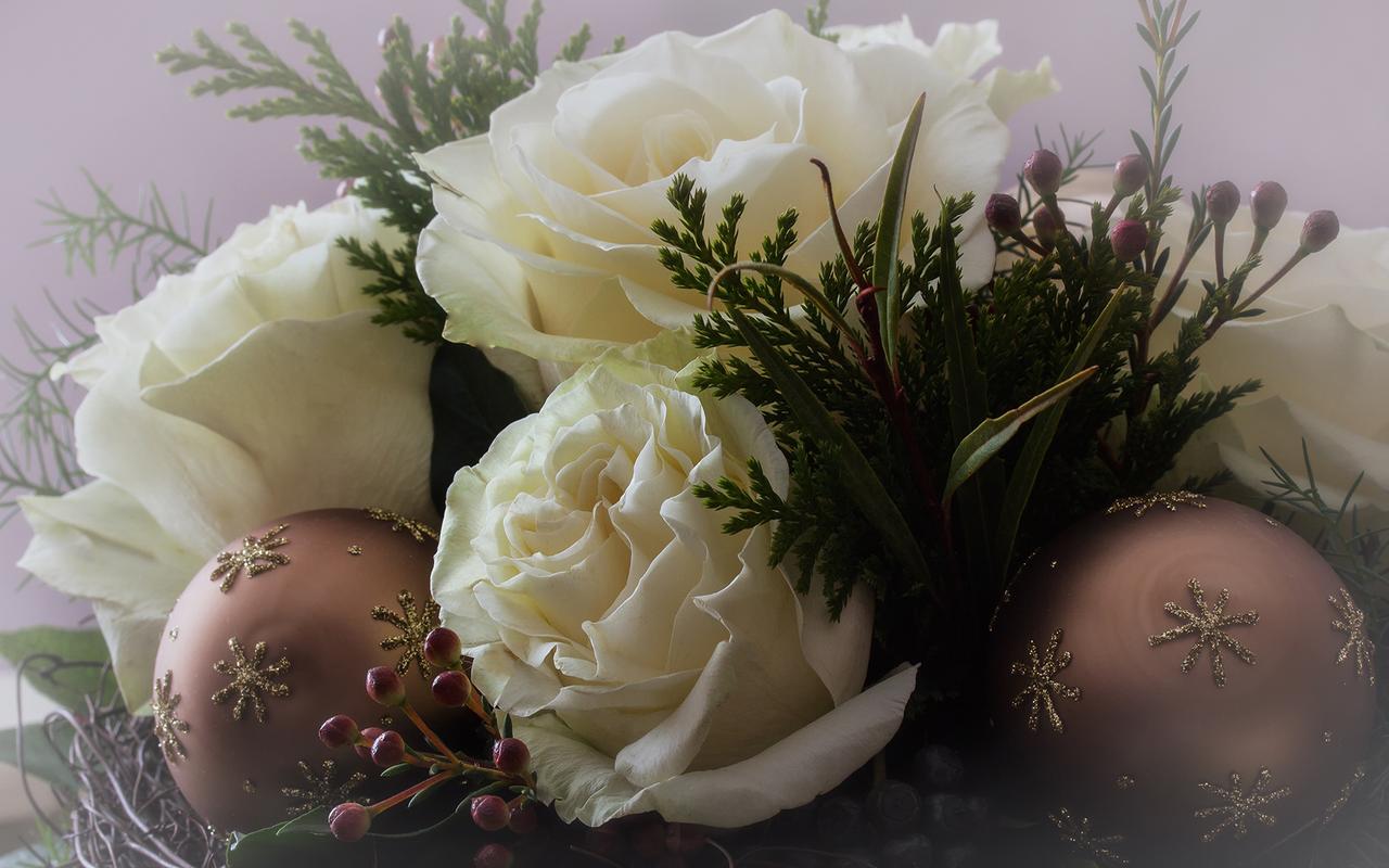 纯洁浪漫的白玫瑰高清桌面壁纸.白玫瑰花语:纯洁,浪漫,求爱之花.