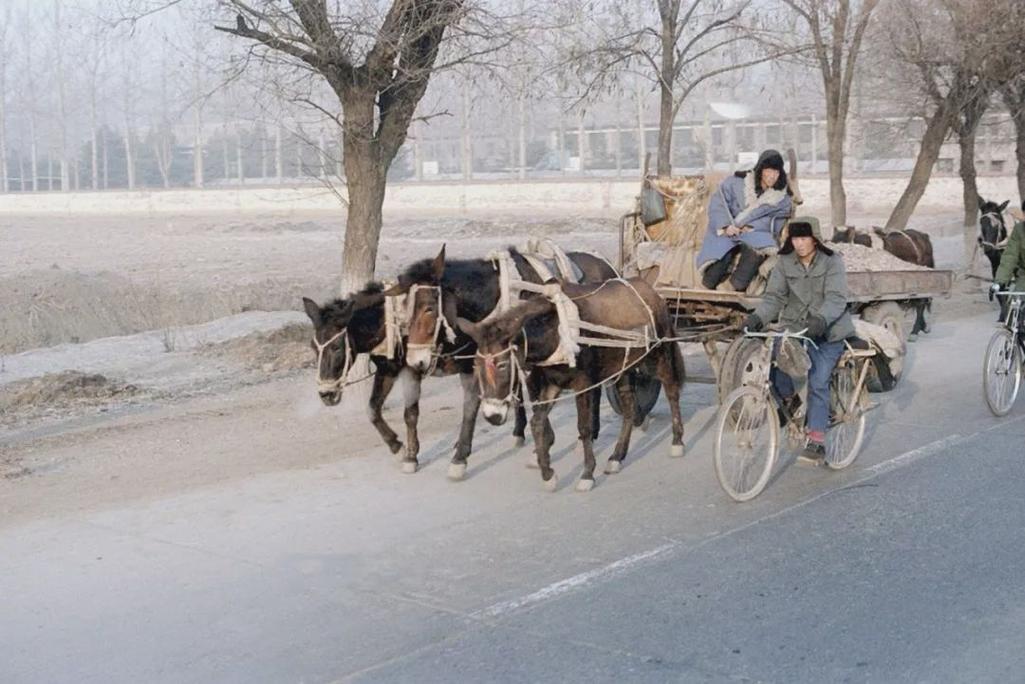 【驴车(马车)】最古老的畜力车,可以载人,也可以拉货.