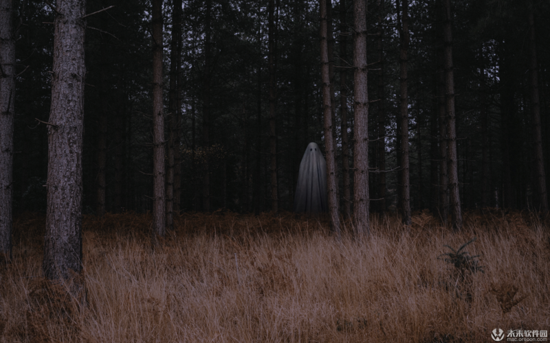森林中的幽灵动态壁纸