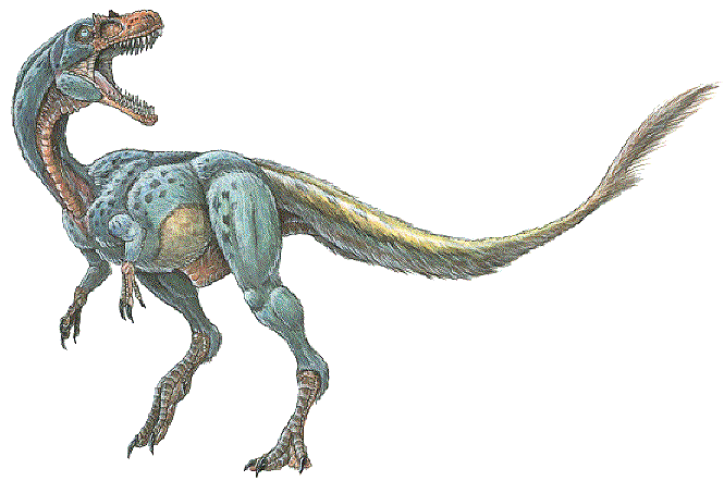 帝龙(动物)帝龙(学名dilong)是一种小型,具有羽毛的暴龙超科恐龙,化石