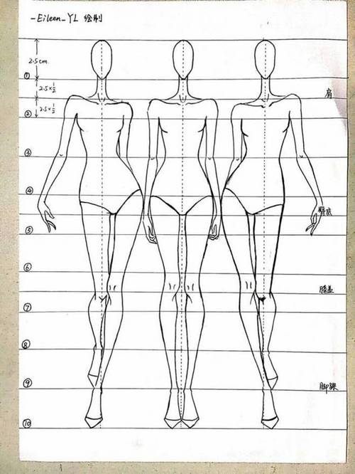 服装设计人体绘制8
