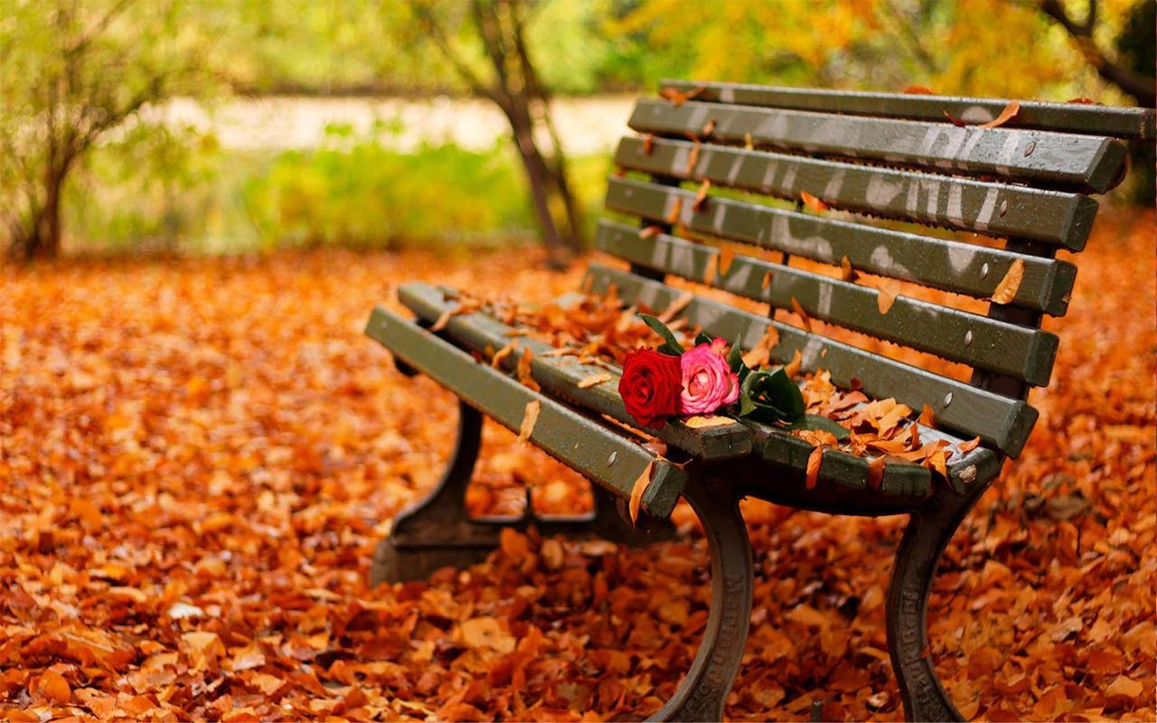 秋季枫叶唯美意境风景图片桌面壁纸下载