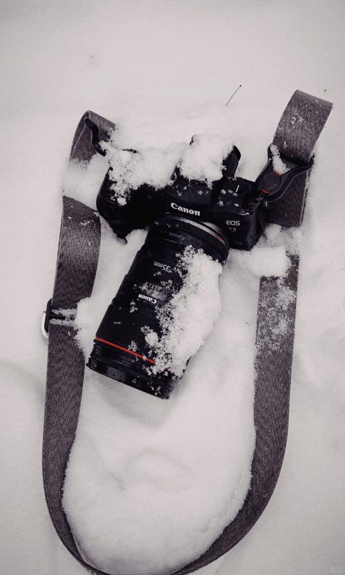67雪天拍照,记住6个拍照技巧,拍出好看雪景照片_相机_雪花_摄影